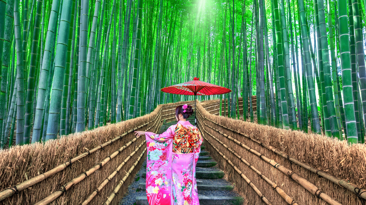 3. Arashiyama Bamboo Grove