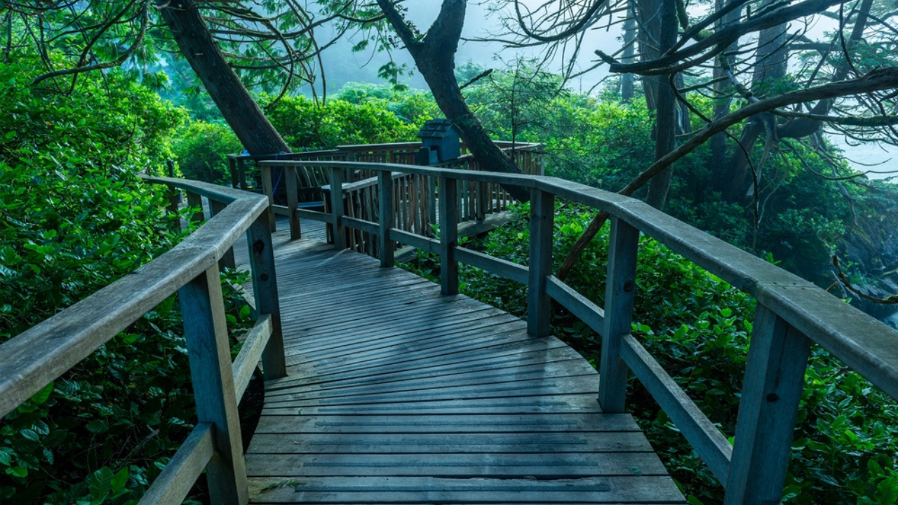 5. Pacific Rim National Park Reserve and Tofino
