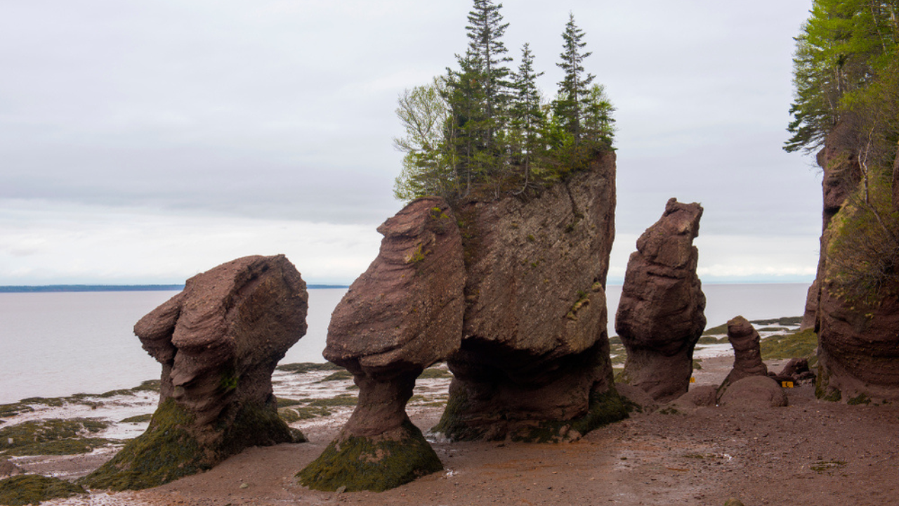 9. Bay of Fundy and Hopewell Rocks