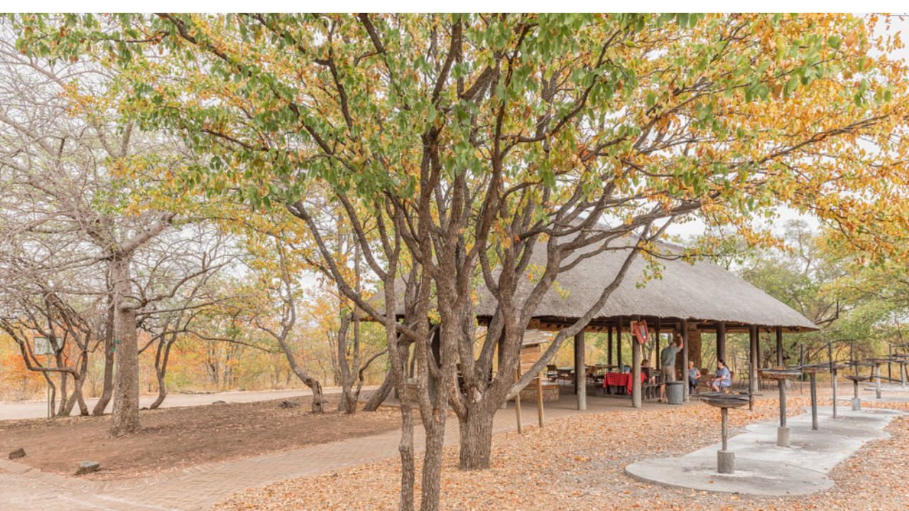 1. Kruger National Park