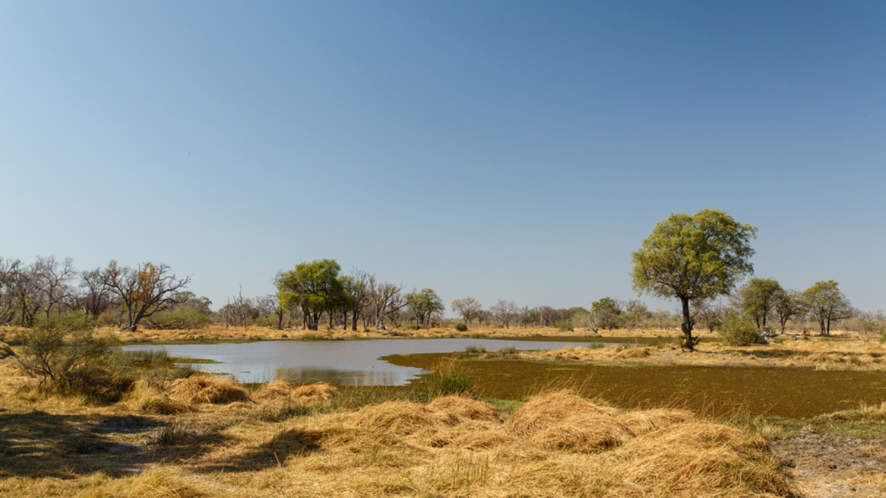 5. iSimangaliso Wetland Park