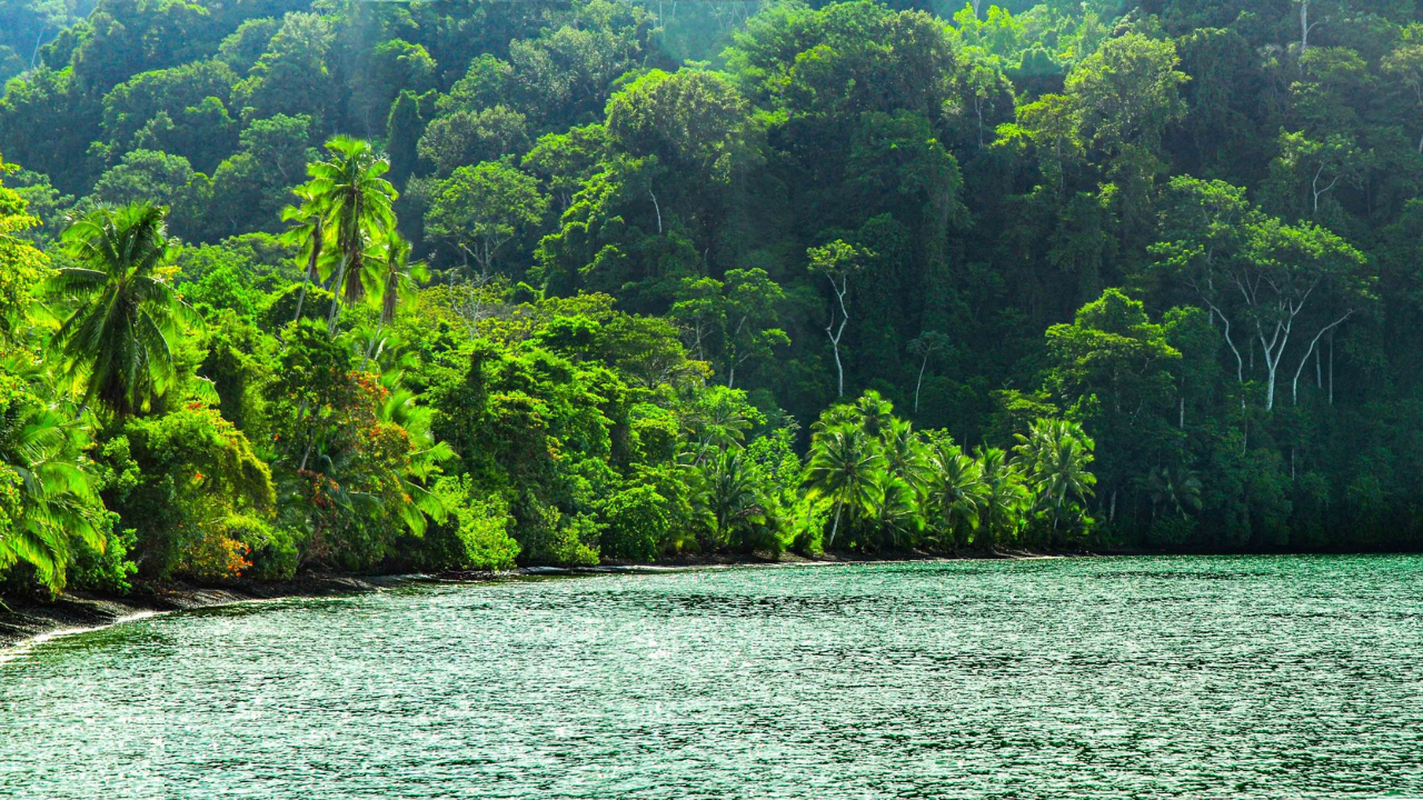 3. Manuel Antonio National Park
