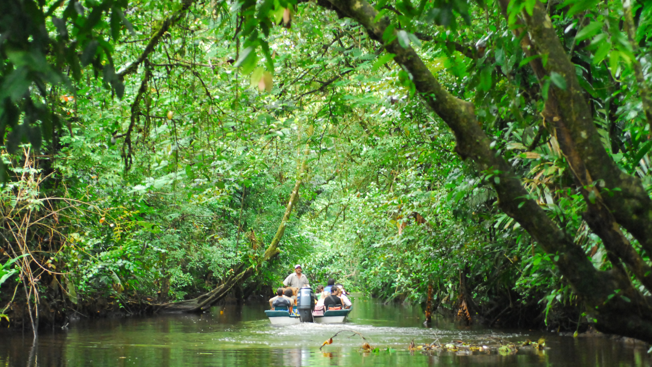 5. Tortuguero National Park