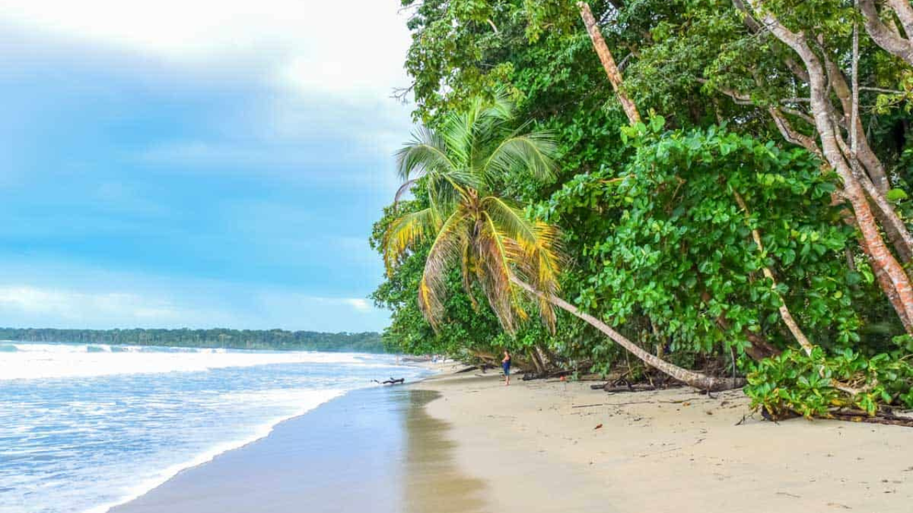 10. Cahuita National Park
