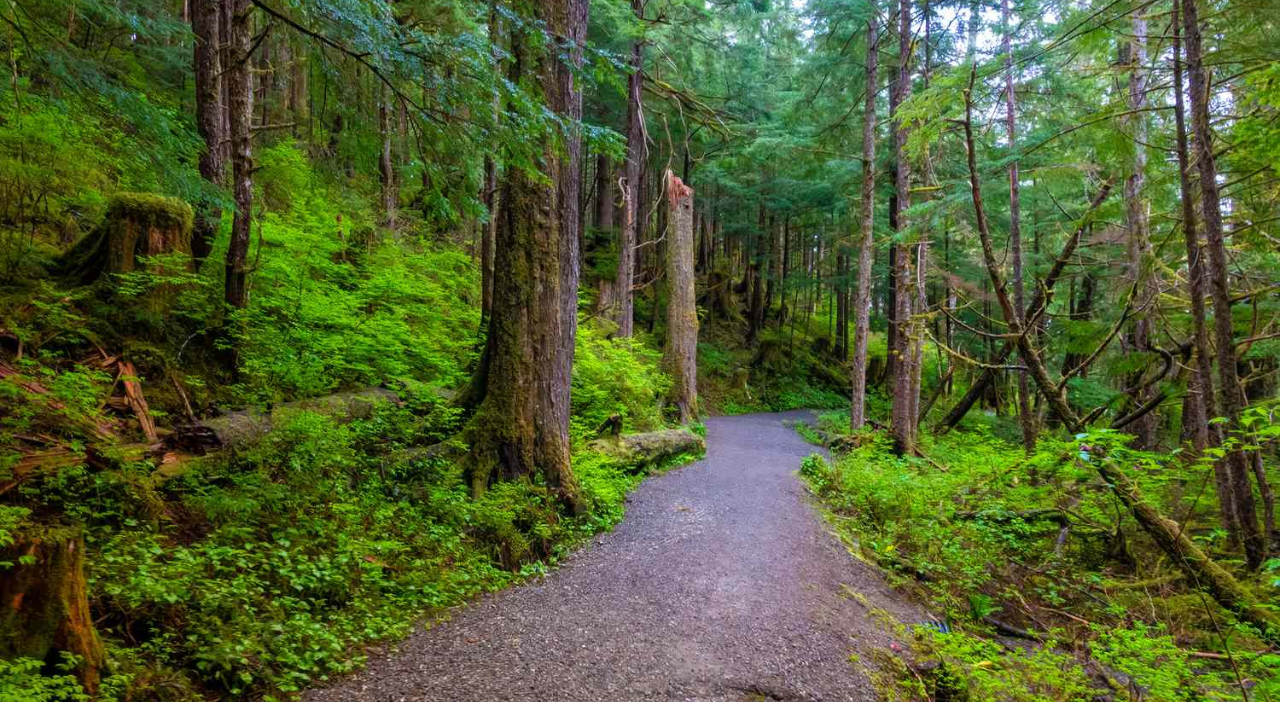 1. White River National Forest, Colorado