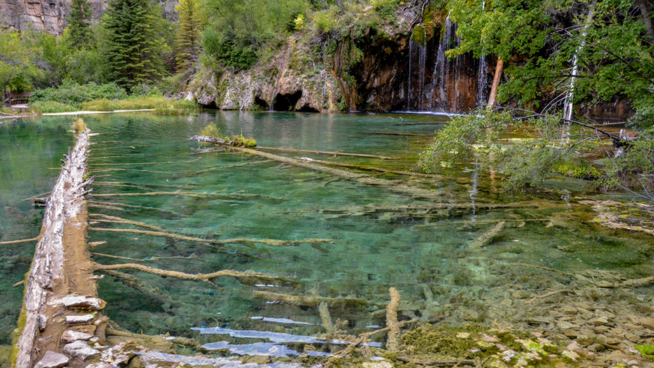 2. Tongass National Forest, Alaska