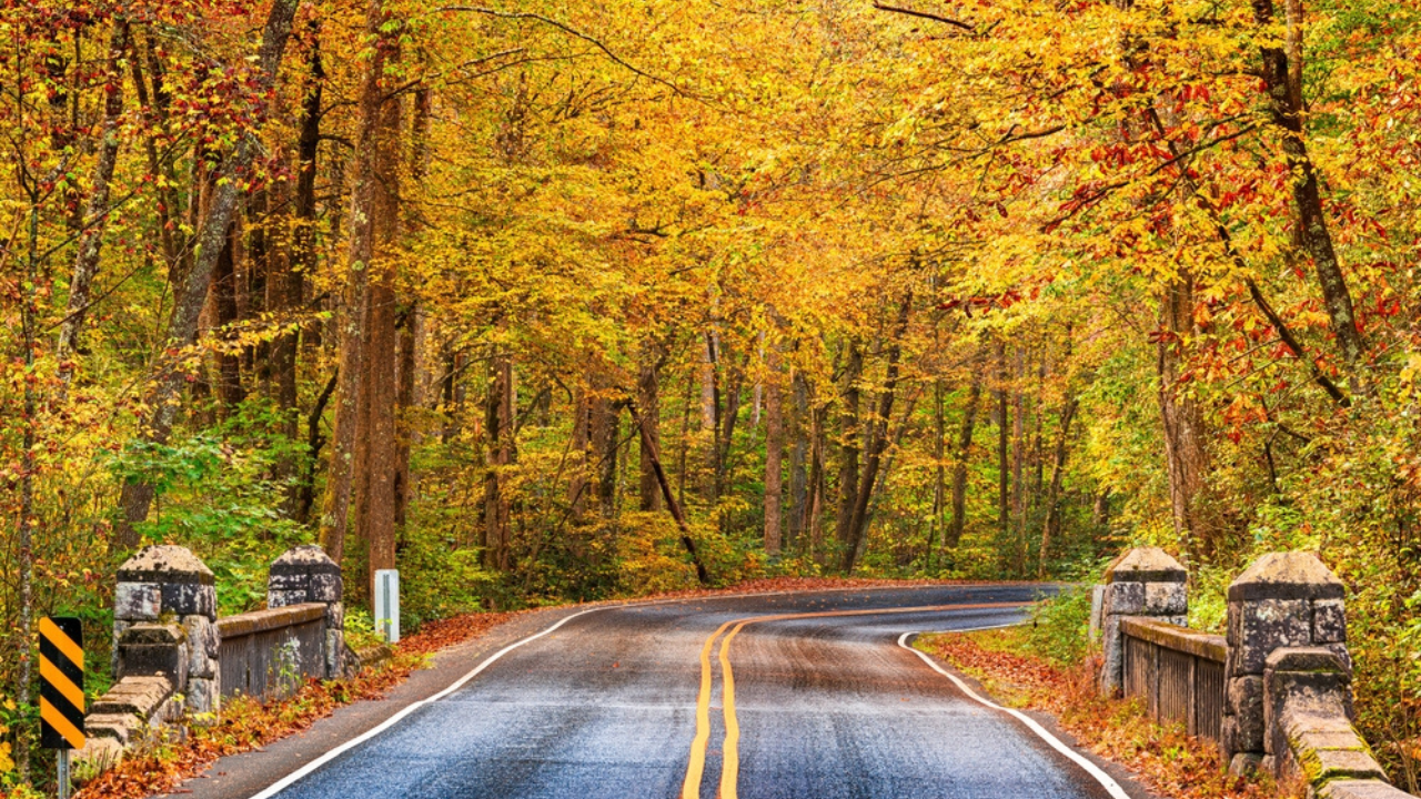3. Pisgah National Forest, North Carolina