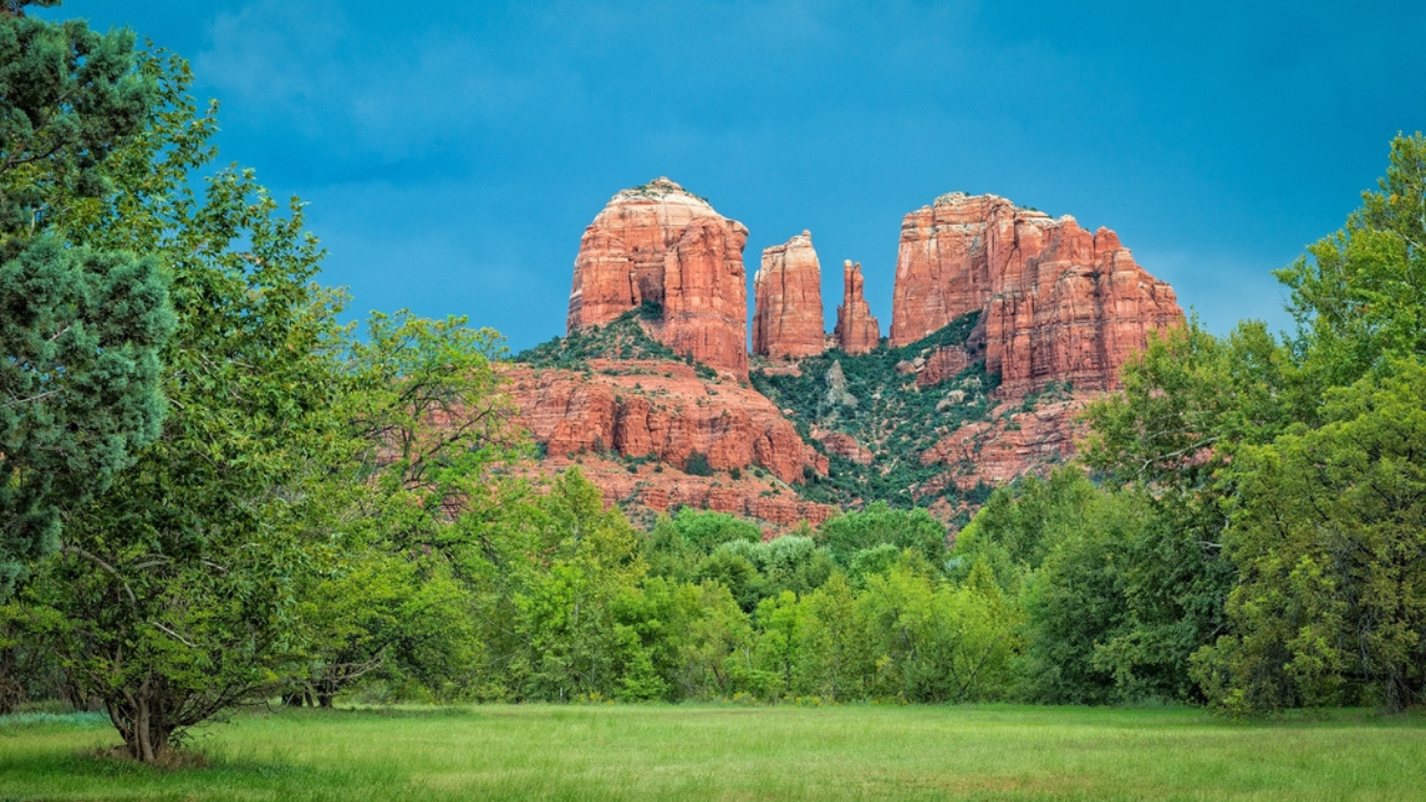 5. Coconino National Forest, Arizona