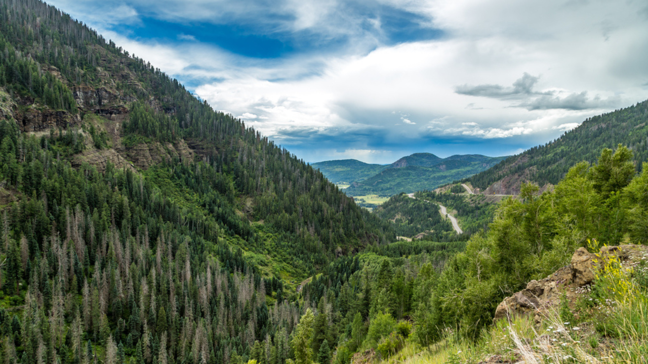 8. San Juan National Forest, Colorado