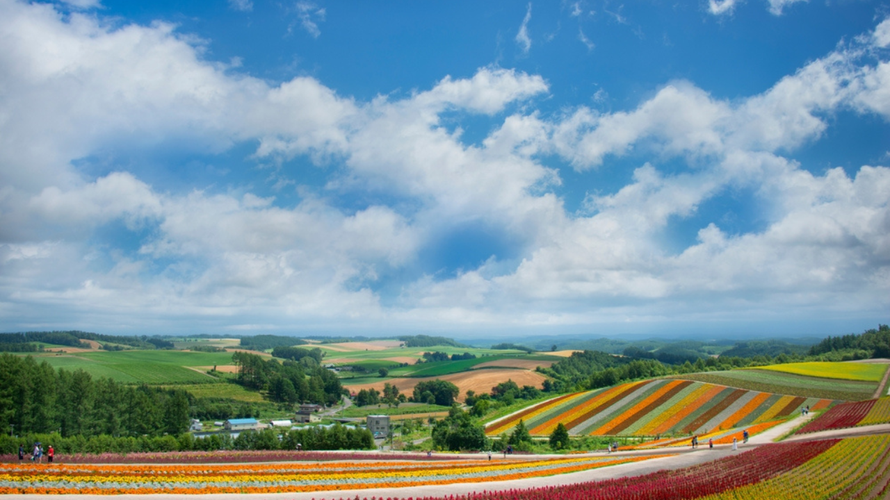 9. Hokkaido (Furano & Biei)